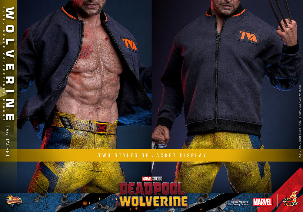 Hot Toys - Wolverine - TVA Jacket Version - MMS756 - 1:6 Scale Action Figure