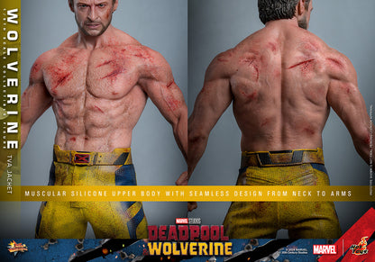 Hot Toys - Wolverine - TVA Jacket Version - MMS756 - 1:6 Scale Action Figure