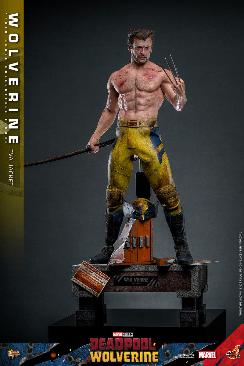 Hot Toys - Wolverine - TVA Jacket Version - MMS756 - 1:6 Scale Action Figure