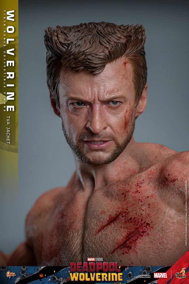 Hot Toys - Wolverine - TVA Jacket Version - MMS756 - 1:6 Scale Action Figure