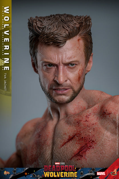 Hot Toys - Wolverine - TVA Jacket Version - MMS756 - 1:6 Scale Action Figure