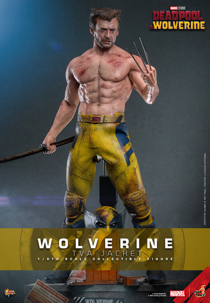 Hot Toys - Wolverine - TVA Jacket Version - MMS756 - 1:6 Scale Action Figure