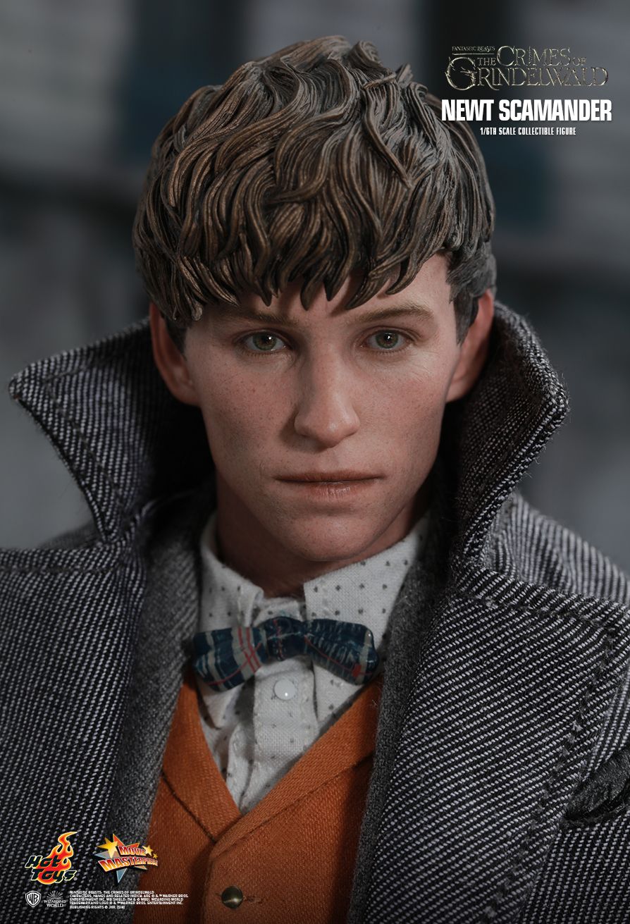 Hot Toys 1:6 - Newt Scamander (Fantastic Beasts) - MMS512 - World of Harry Potter