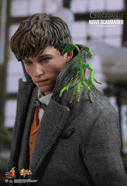 Hot Toys 1:6 - Newt Scamander (Fantastic Beasts) - MMS512 - World of Harry Potter