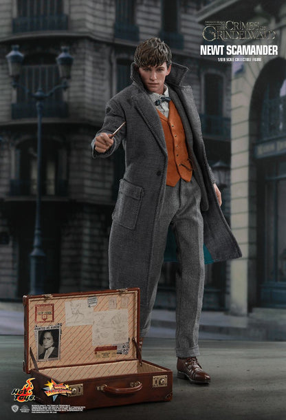 Hot Toys 1:6 - Newt Scamander (Fantastic Beasts) - MMS512 - World of Harry Potter