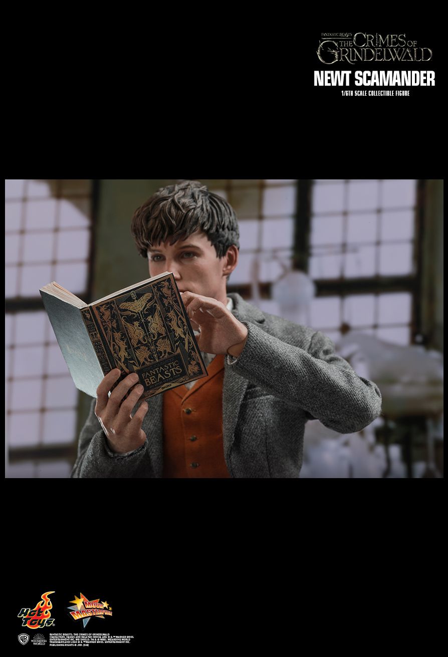 Hot Toys 1:6 - Newt Scamander (Fantastic Beasts) - MMS512 - World of Harry Potter