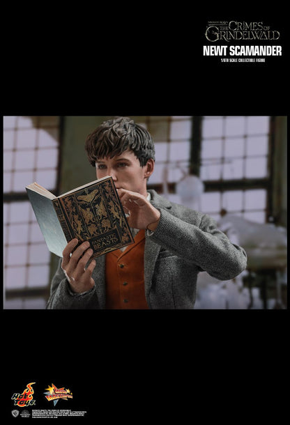 Hot Toys 1:6 - Newt Scamander (Fantastic Beasts) - MMS512 - World of Harry Potter