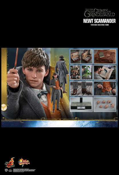 Hot Toys 1:6 - Newt Scamander (Fantastic Beasts) - MMS512 - World of Harry Potter