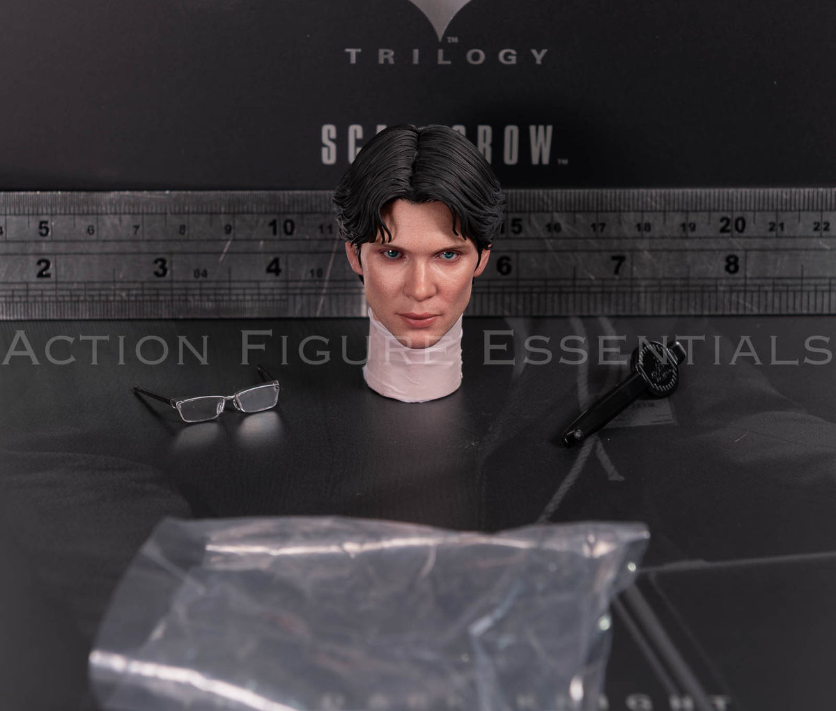 Hot Toys Scarecrow 2.0 MMS801 Jonathan Crane head sculpt with movable eyes, miniature glasses and eye adjustment tool for 1/6 scale figure
