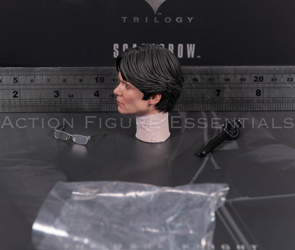Hot Toys Scarecrow 2.0 MMS801 Jonathan Crane head sculpt with movable eyes, miniature glasses and eye adjustment tool for 1/6 scale figure