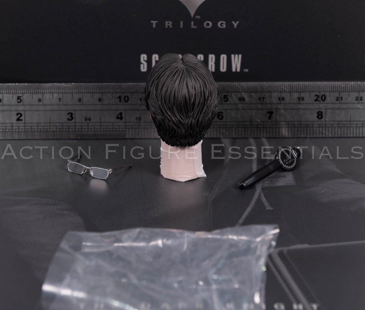 Hot Toys Scarecrow 2.0 MMS801 Jonathan Crane head sculpt with movable eyes, miniature glasses and eye adjustment tool for 1/6 scale figure