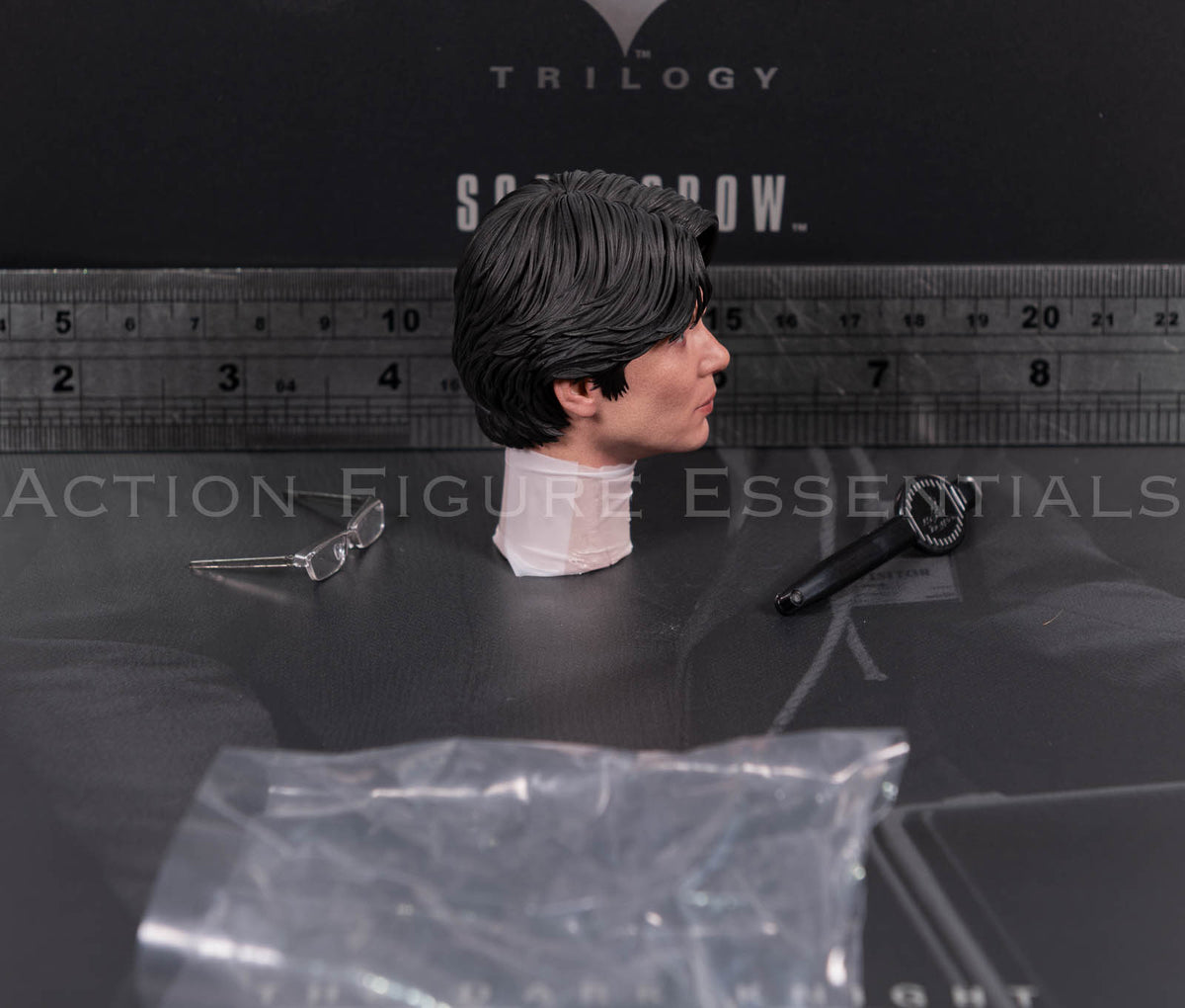 Hot Toys Scarecrow 2.0 MMS801 Jonathan Crane head sculpt with movable eyes, miniature glasses and eye adjustment tool for 1/6 scale figure