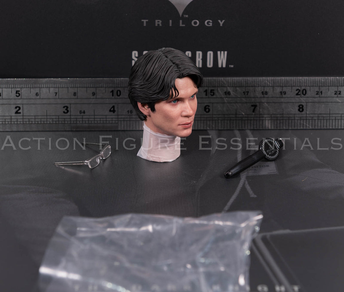 Hot Toys Scarecrow 2.0 MMS801 Jonathan Crane head sculpt with movable eyes, miniature glasses and eye adjustment tool for 1/6 scale figure