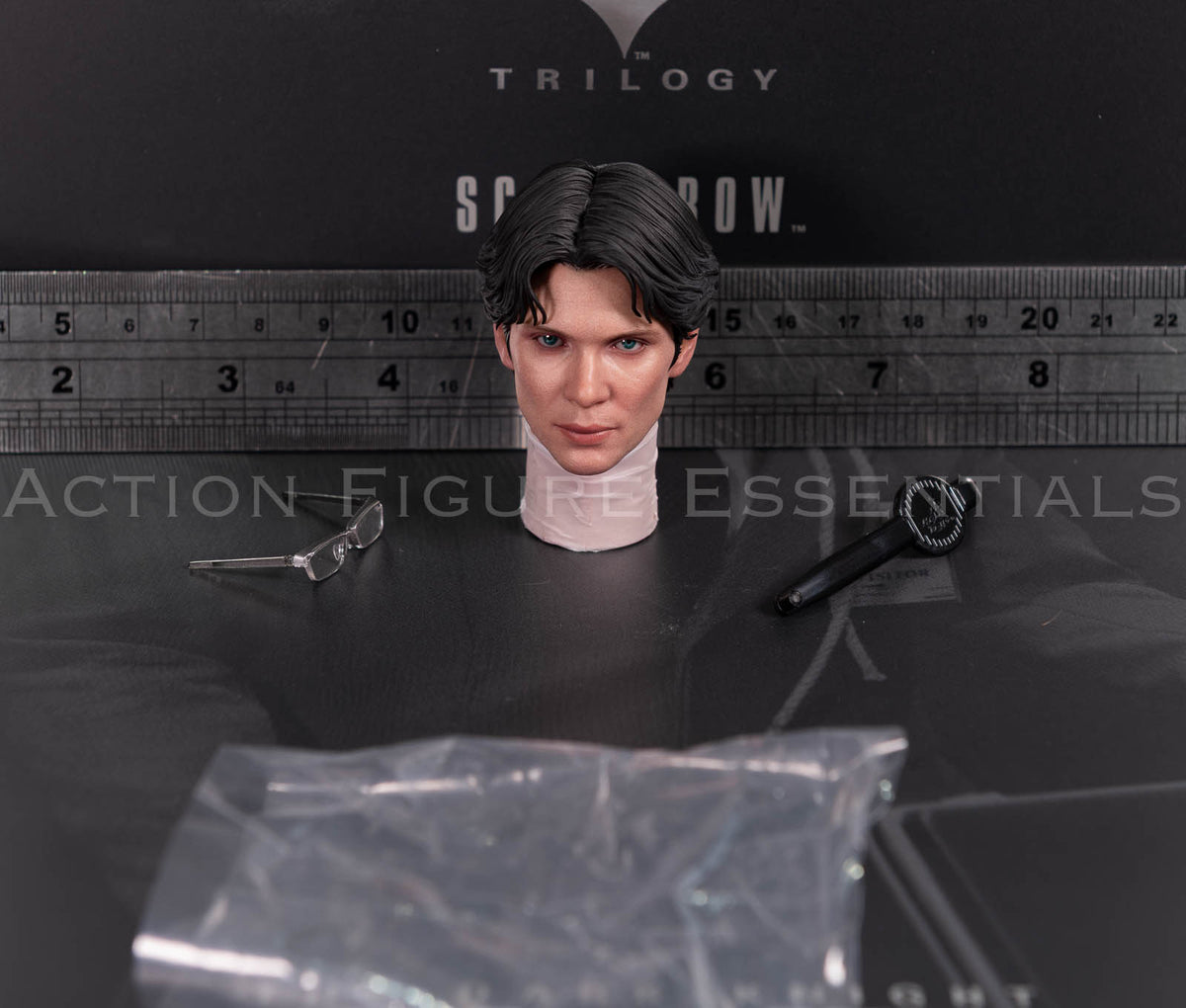 Hot Toys Scarecrow 2.0 MMS801 Jonathan Crane head sculpt with movable eyes, miniature glasses and eye adjustment tool for 1/6 scale figure
