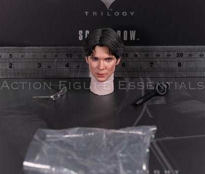 Hot Toys Scarecrow 2.0 MMS801 Jonathan Crane head sculpt with movable eyes, miniature glasses and eye adjustment tool for 1/6 scale figure