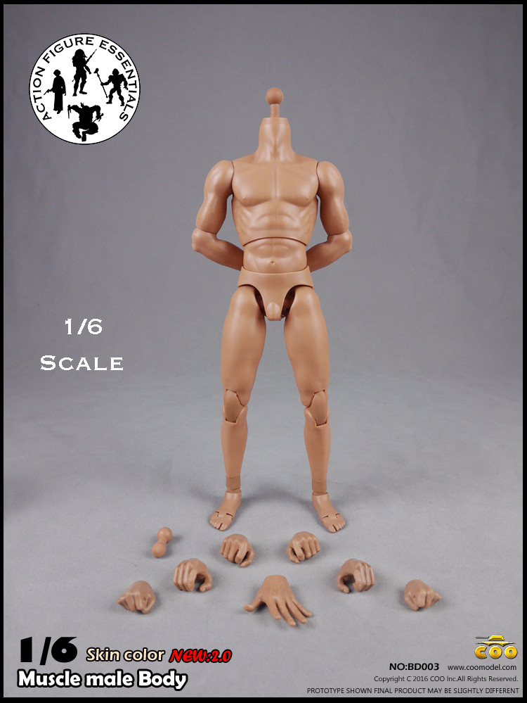 COOMODEL Male Body Muscle BD003 1/6 New 2.0 Version Hot Toys Scale