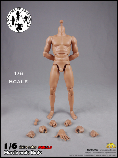 COOMODEL Male Body Muscle BD003 1/6 New 2.0 Version Hot Toys Scale