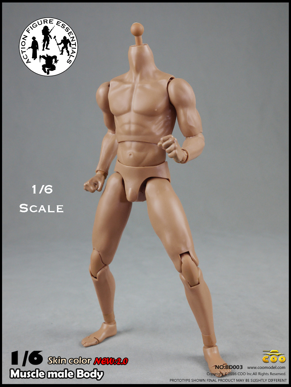 COOMODEL Male Body Muscle Tall 1/6 BD004 New 2.0 Version Hot Toys Scale