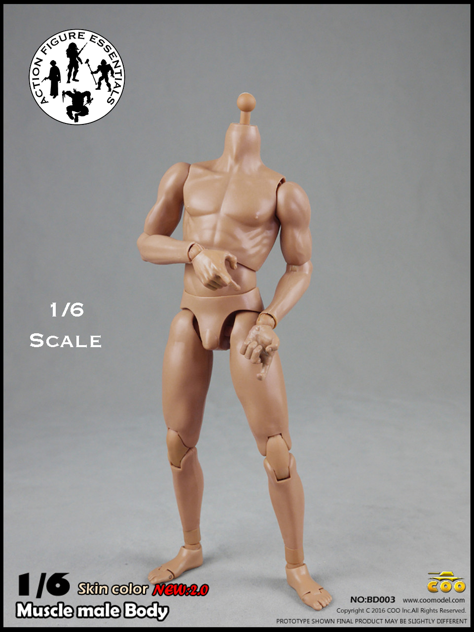 COOMODEL Male Body Muscle BD003 1/6 New 2.0 Version Hot Toys Scale