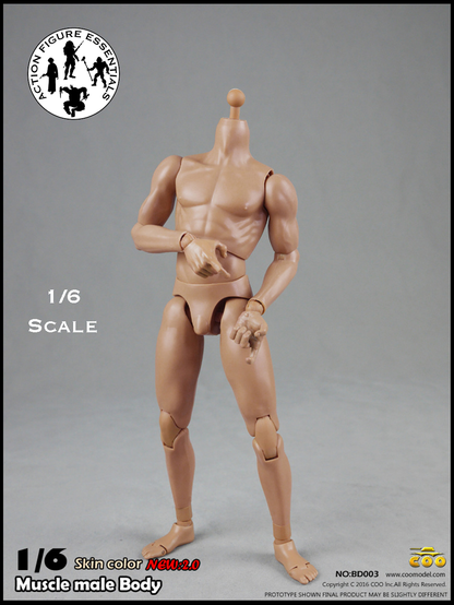 COOMODEL Male Body Muscle Tall 1/6 BD004 New 2.0 Version Hot Toys Scale