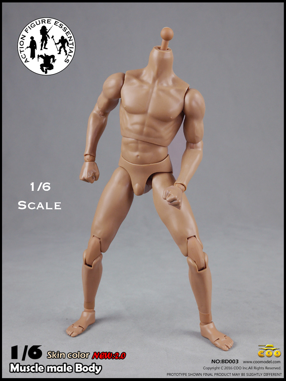 COOMODEL Male Body Muscle BD003 1/6 New 2.0 Version Hot Toys Scale