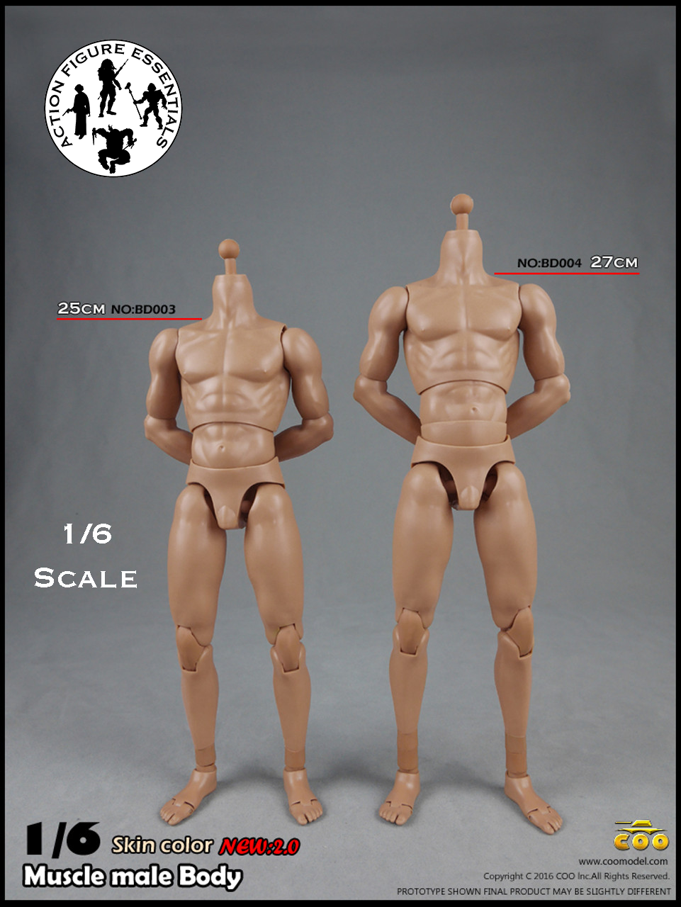 COOMODEL Male Body Muscle BD003 1/6 New 2.0 Version Hot Toys Scale