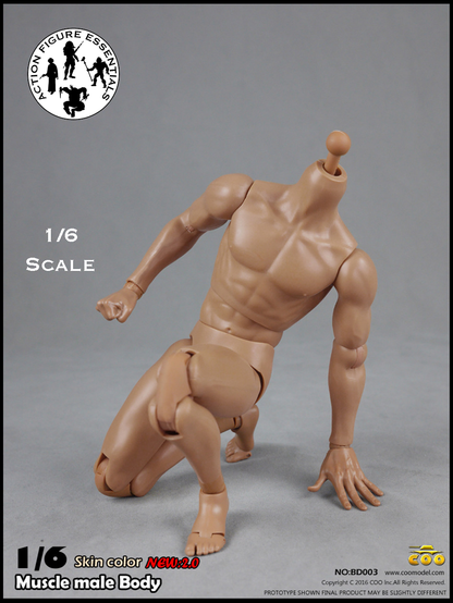 COOMODEL Male Body Muscle BD003 1/6 New 2.0 Version Hot Toys Scale