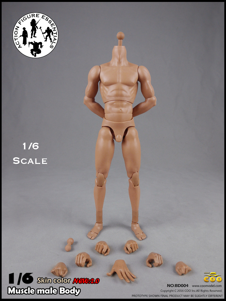 COOMODEL Male Body Muscle Tall 1/6 BD004 New 2.0 Version Hot Toys Scale