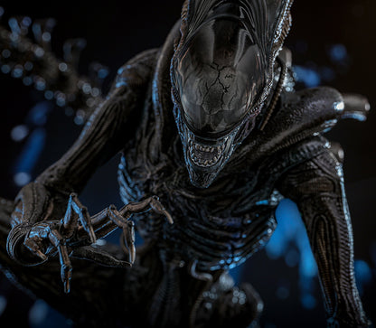 Hot Toys Scorched Xenomorph Alien Romulus 1/6 Scale Figure MMS784