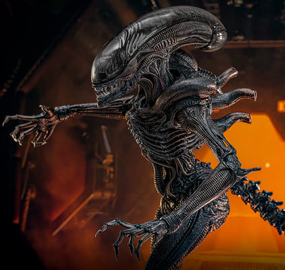 Hot Toys Scorched Xenomorph Alien Romulus 1/6 Scale Figure MMS784