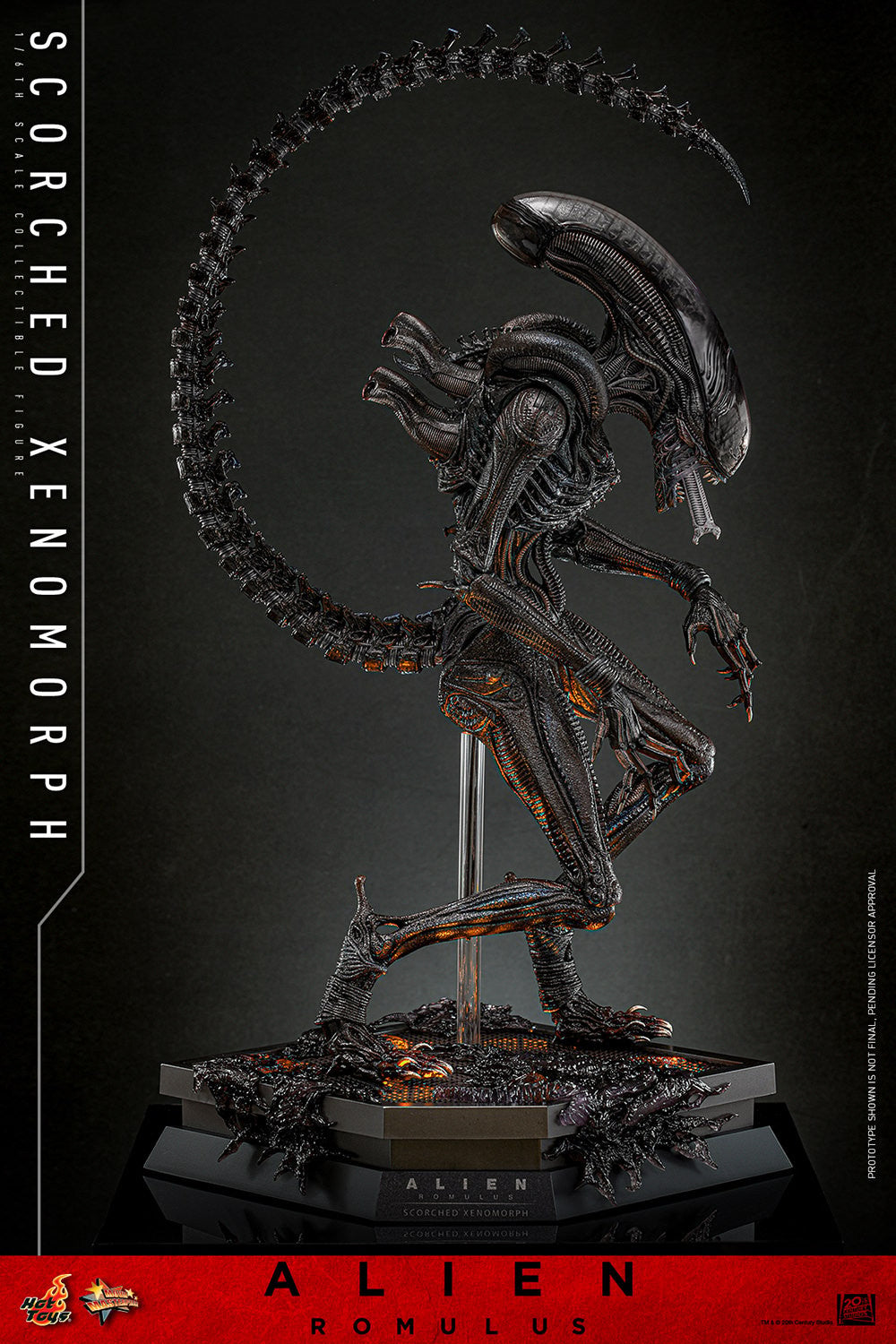 Hot Toys Scorched Xenomorph Alien Romulus 1/6 Scale Figure MMS784