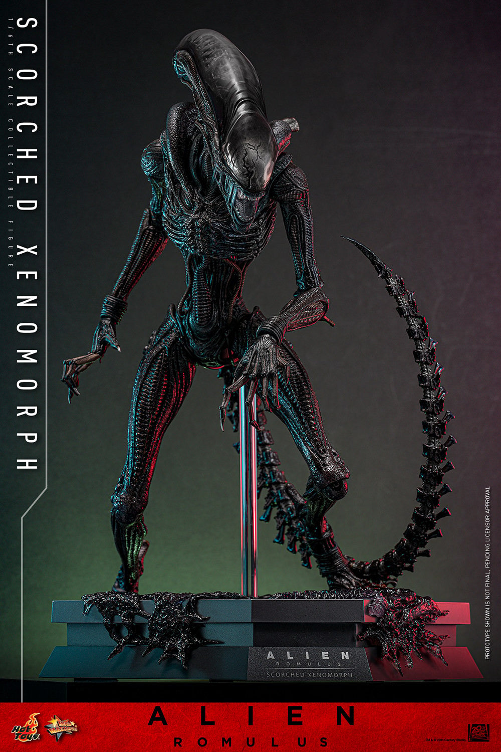 Hot Toys Scorched Xenomorph Alien Romulus 1/6 Scale Figure MMS784