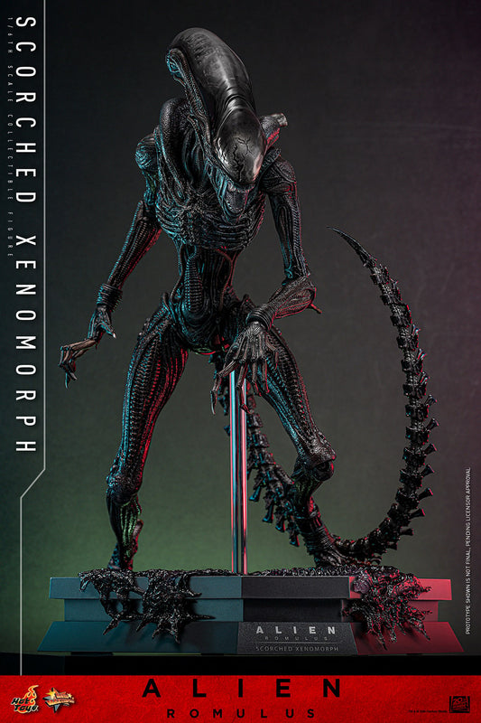 Hot Toys Scorched Xenomorph Alien Romulus 1/6 Scale Figure MMS784