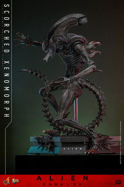 Hot Toys Scorched Xenomorph Alien Romulus 1/6 Scale Figure MMS784