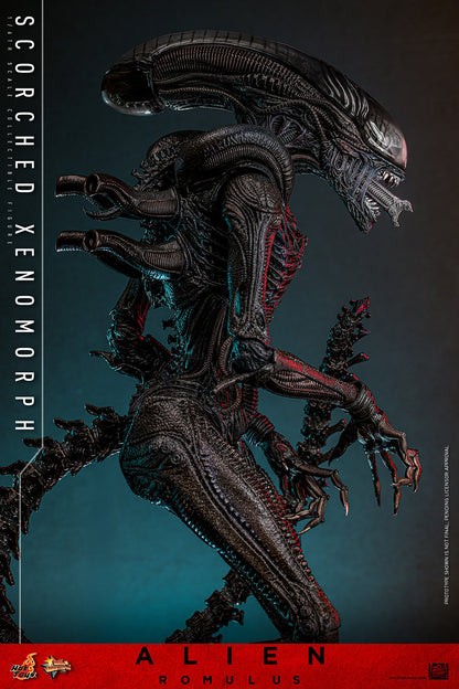 Hot Toys Scorched Xenomorph Alien Romulus 1/6 Scale Figure MMS784