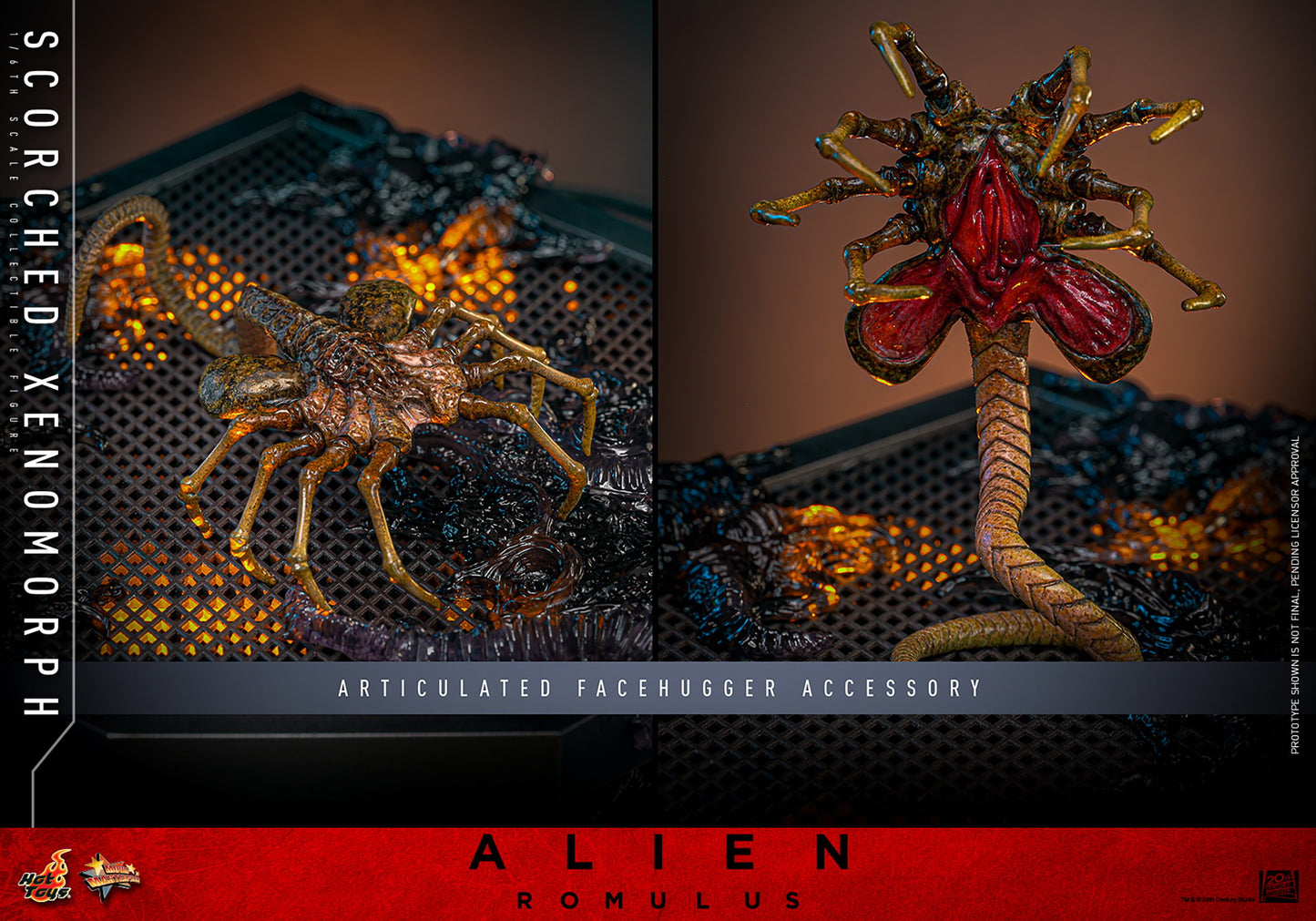 Hot Toys Scorched Xenomorph Alien Romulus 1/6 Scale Figure MMS784