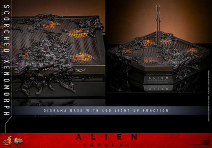 Hot Toys Scorched Xenomorph Alien Romulus 1/6 Scale Figure MMS784