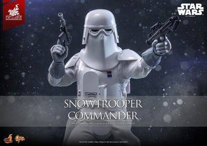 Hot Toys Snowtrooper Commander 1/6 Scale Figure Star Wars Empire Strikes Back Exclusive MMS835