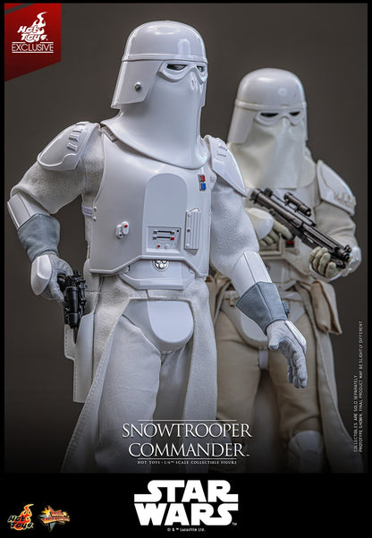 Hot Toys Snowtrooper Commander 1/6 Scale Figure Star Wars Empire Strikes Back Exclusive MMS835