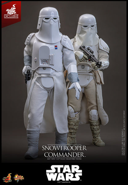 Hot Toys Snowtrooper Commander 1/6 Scale Figure Star Wars Empire Strikes Back Exclusive MMS835