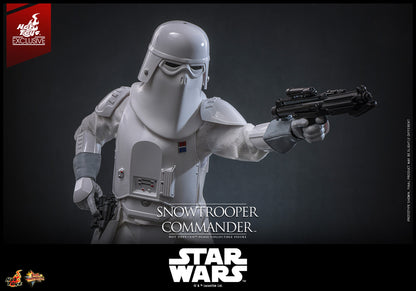 Hot Toys Snowtrooper Commander 1/6 Scale Figure Star Wars Empire Strikes Back Exclusive MMS835