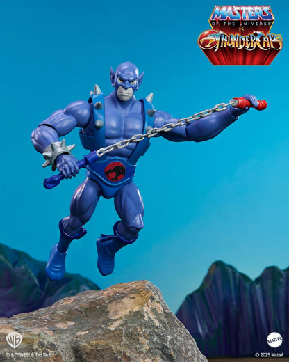 MOTU x Thundercats Panthro Action Figure Masters of the Universe