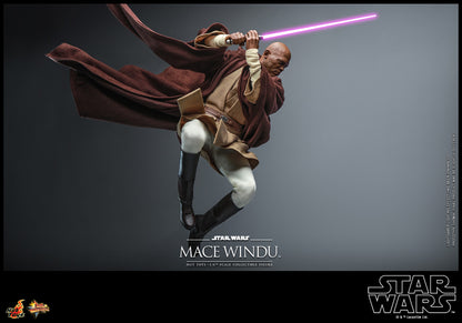 Hot Toys 1:6 - Mace Windu - Attack of The Clones - MMS681 - Star Wars