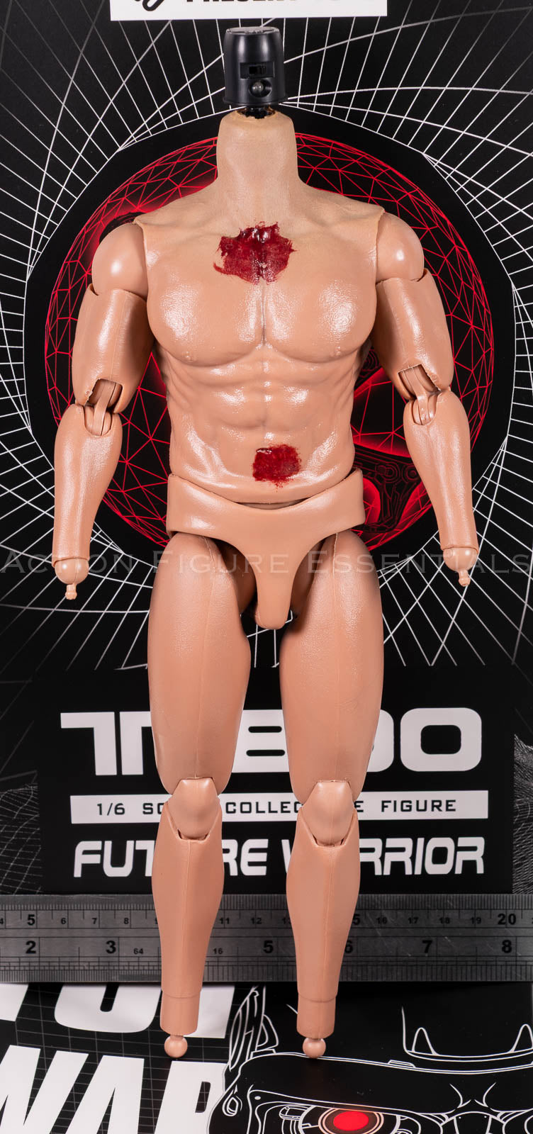 Present Toys T-800 articulated body 1/6 scale, photograph 53