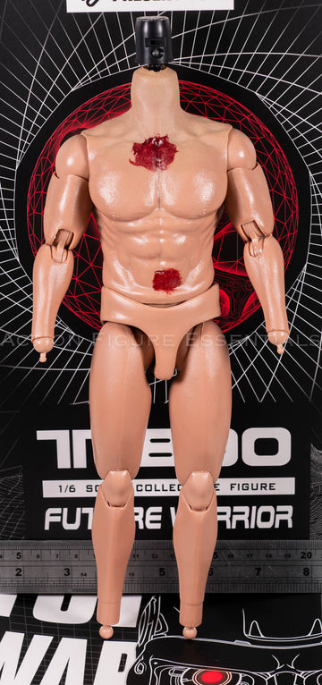 Present Toys T-800 articulated body 1/6 scale, photograph 53