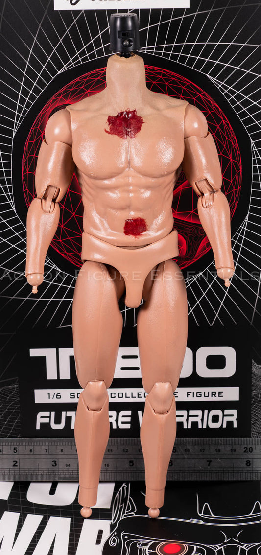 Present Toys T-800 articulated body 1/6 scale, photograph 53