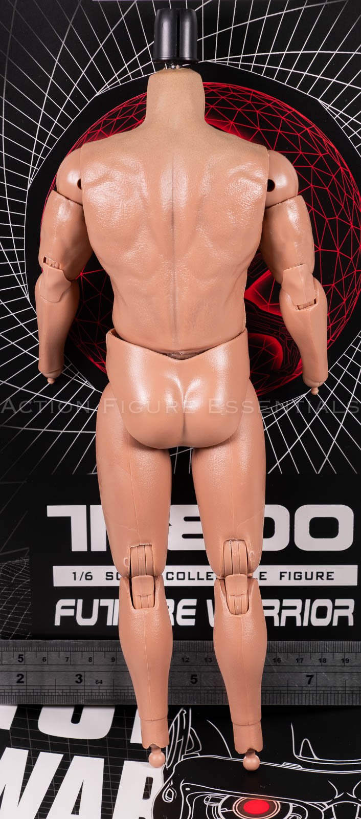 Present Toys T-800 articulated body 1/6 scale, photograph 54