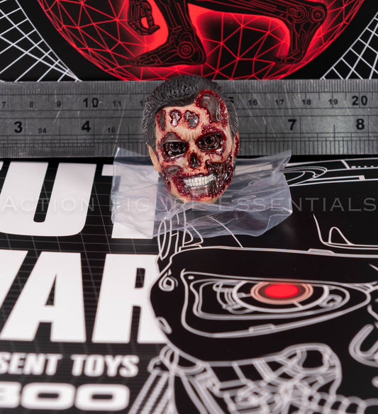 Present Toys T-800 extreme endoskeleton head 1/6 scale, photograph 46