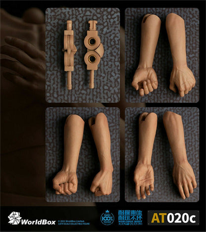 WorldBox 1/6 Scale Premium Seamless Arms – Fine Detailing (AT020C)