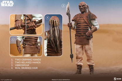 Sideshow 1/6 Pagetti Rook Figure Return of the Jedi Star Wars Sixth Scale Collectible